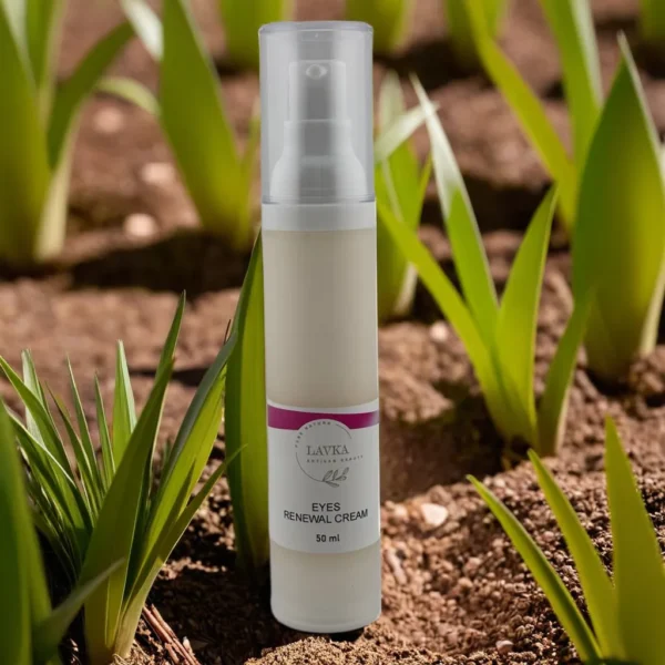 Eye Renewal Cream